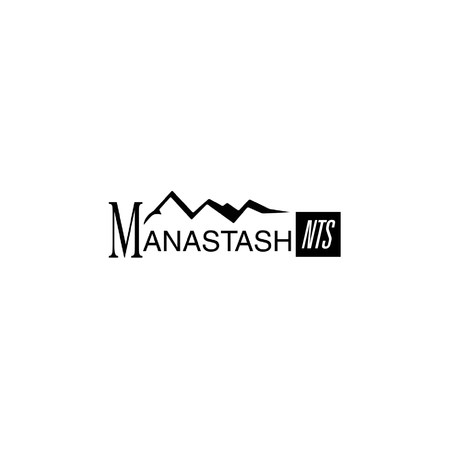 MANASTASH／マナスタッシュ／RE:CTN L／S SCHEME LOGO MANASTASH/マナスタッシュ/MANASTASH LOGO LAMP/ロゴランプ
