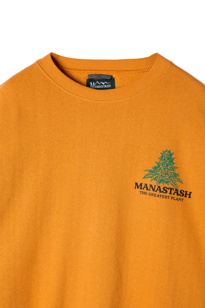 Cascade Sweatshirts Tgp (Mango)