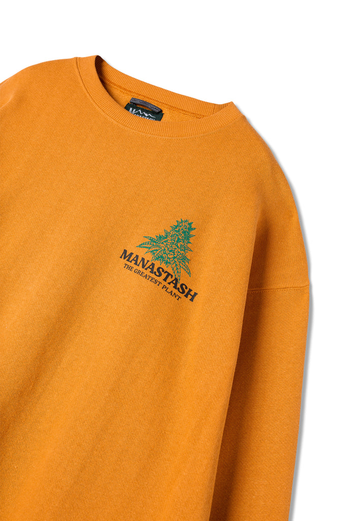 Cascade Sweatshirts Tgp (Mango)