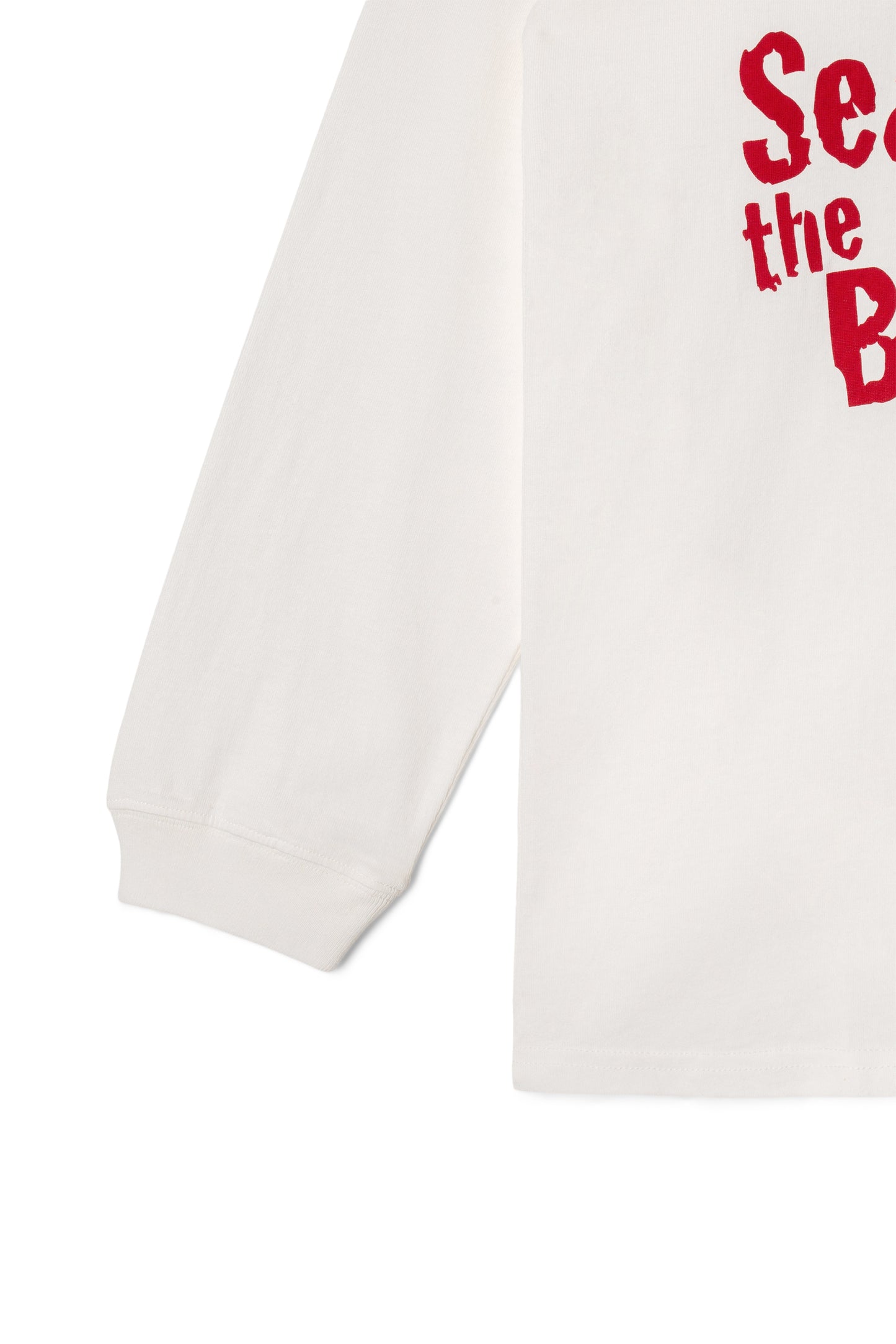 Pumice Long Sleeve Tee Big Foot (White)